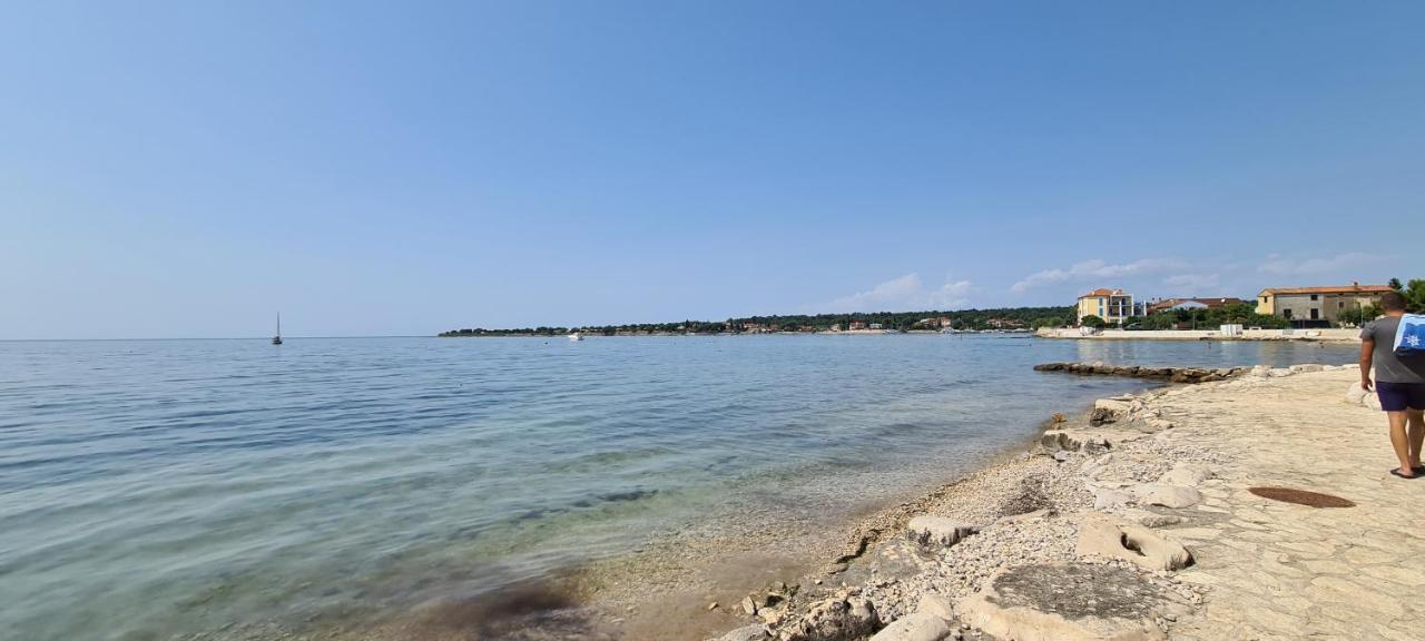 Villa Ruzica Дайла Экстерьер фото